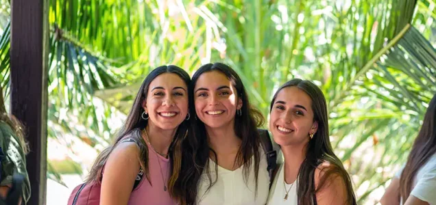 Desarrollo Estudiantil UNAB