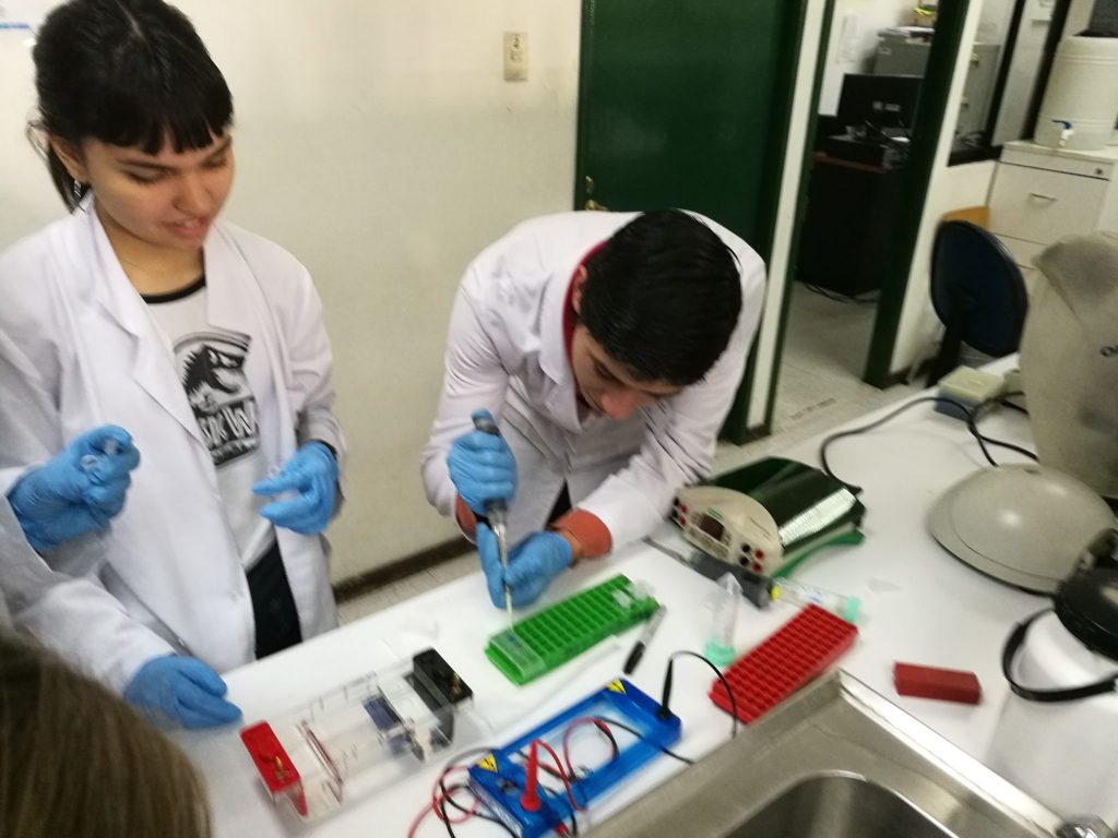 Interescolar Ciencias Biológicas