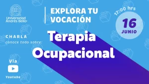  terapia ocupacional