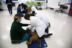 7° Interescolar de Ciencias de la Vida