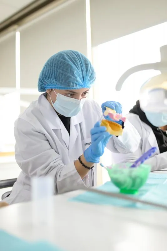 13º Interescolar de odontología Concepción 13º Interescolar de odontología Concepción