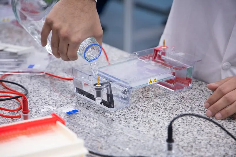 6º Interescolar de Detectives Moleculares – Ingeniería en Biotecnología 6º Interescolar de Detectives Moleculares - Ingeniería en Biotecnología