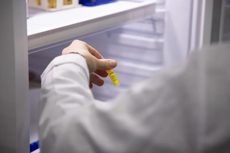 6º Interescolar de Detectives Moleculares – Ingeniería en Biotecnología 6º Interescolar de Detectives Moleculares - Ingeniería en Biotecnología