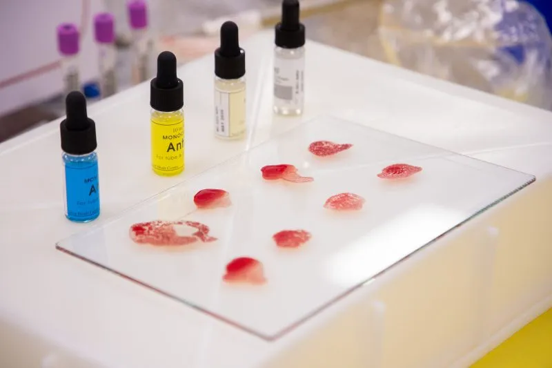 14º INTERESCOLAR DE SALUD Y 1º AUXILIOS VIÑA DEL MAR 14º INTERESCOLAR DE SALUD Y 1º AUXILIOS VIÑA DEL MAR