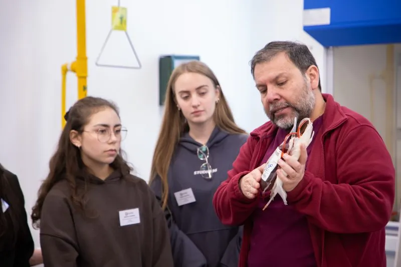 14º INTERESCOLAR DE SALUD Y 1º AUXILIOS VIÑA DEL MAR 14º INTERESCOLAR DE SALUD Y 1º AUXILIOS VIÑA DEL MAR