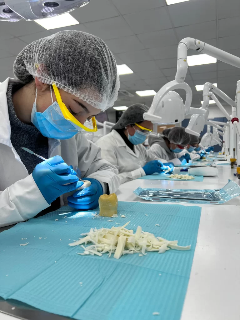 13º interescolar de odontología